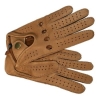 Перчатки женские Eleganzza, цвет: песочный HS101W 2009 г инфо 13593v.