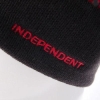 Шапка Independent Crosses Visor Oxblood 2010 г инфо 608w.
