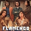 Flamenco Flamenco Limited Edition (LP) Формат: Грампластинка (LP) (Картонный конверт) Дистрибьюторы: Sony Music Entertainment, Концерн "Группа Союз" Лицензионные товары инфо 10786y.